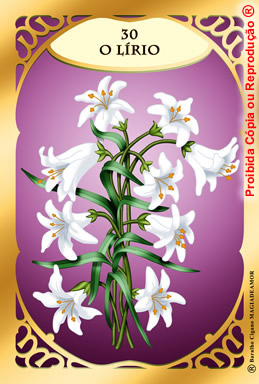 ::.BARALHO CIGANO ON-LINE GRATIS