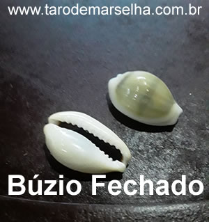 Búzio fechado