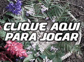 Jogo de 16 búzios online aconselhamento